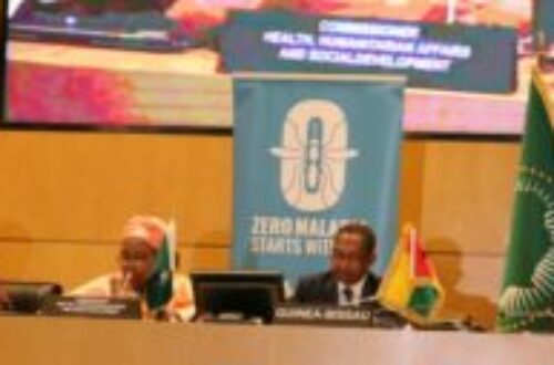 Article : Vers un avenir sans paludisme : plaidoyer fort et action concertée au 37ème sommet de l’Union Africaine