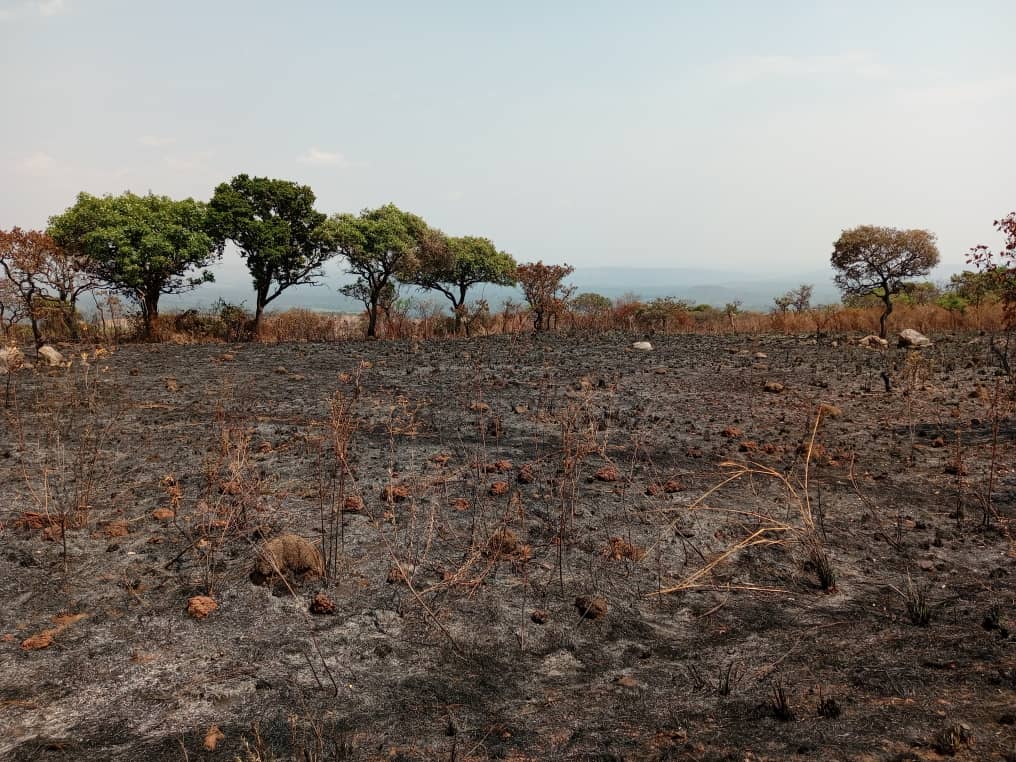 Article : Burundi : Entre déforestation et pollution, un avenir incertain