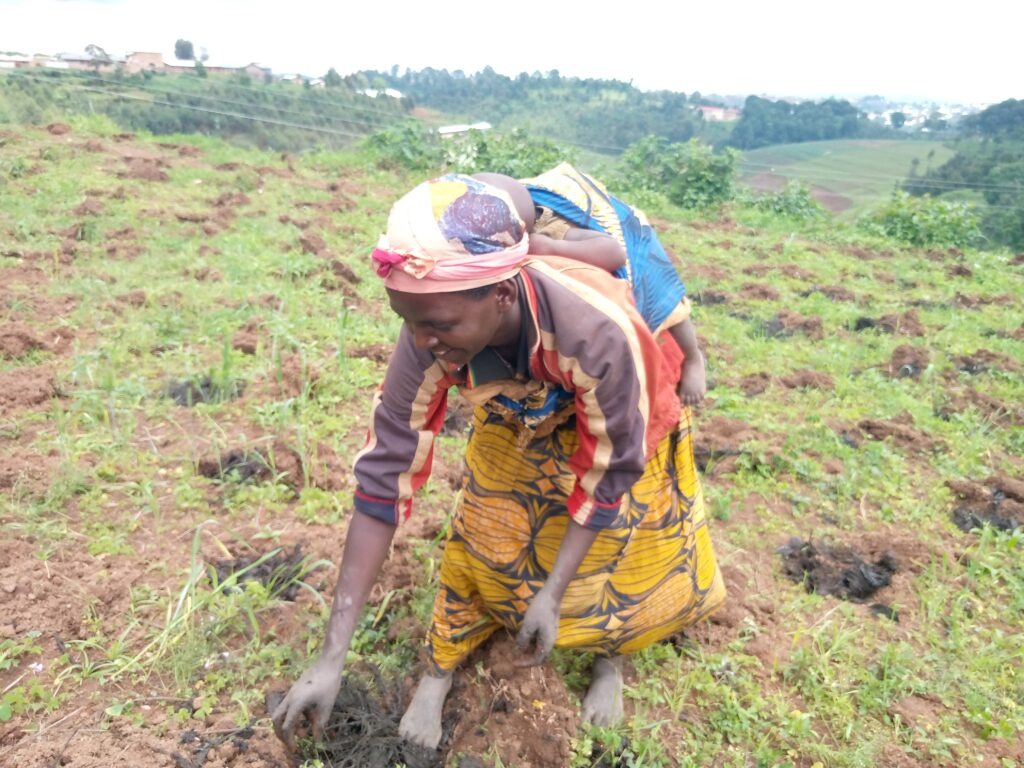 Article : Ne jamais abandonner : les agricultrices burundaises face à la crise