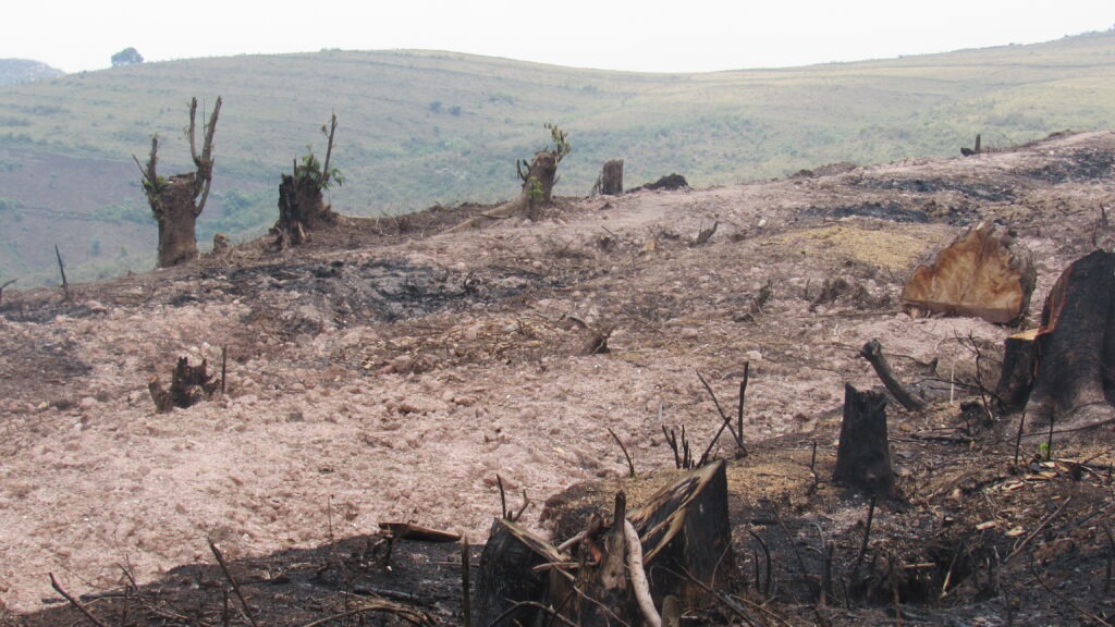 Les institutions étatiques défrichent et incendient une zone de la forêt de Kibira couverte de végétation. Elles (institutions étatiques) la transforment en labours poursuivant ainsi l’extension de l’espace des cultures dans le secteur Rwegura. 
