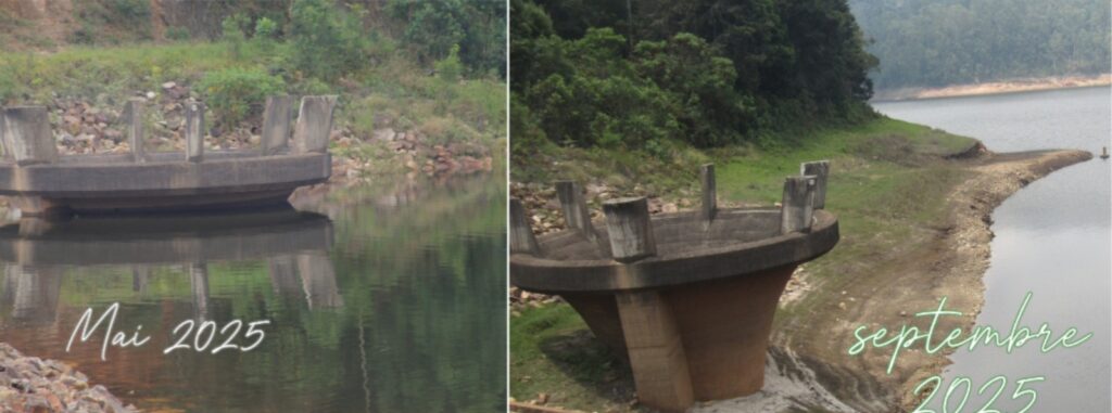 Article : Pas d&rsquo;eau, pas de paix : le coût humain de la disparition des sources d&rsquo;eau àKibiraPhoto Rwegura