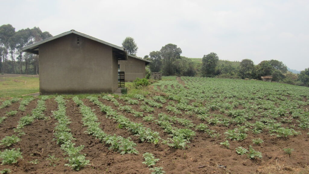 Dans le parc de Kibira sont construits des stocks de conservation de production agricole. 

